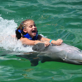 Girl Dolphin Swim