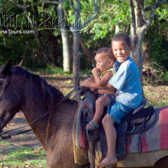 Children Riding a Horse