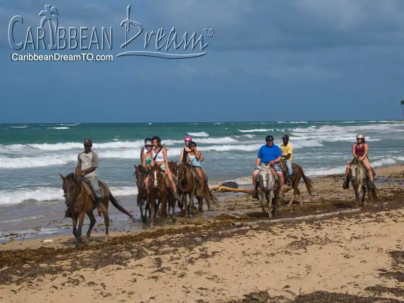 horseback riding on the coast