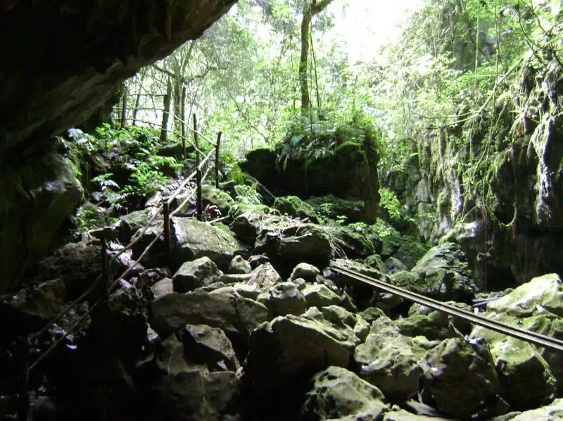Looking up from the cave entrance
